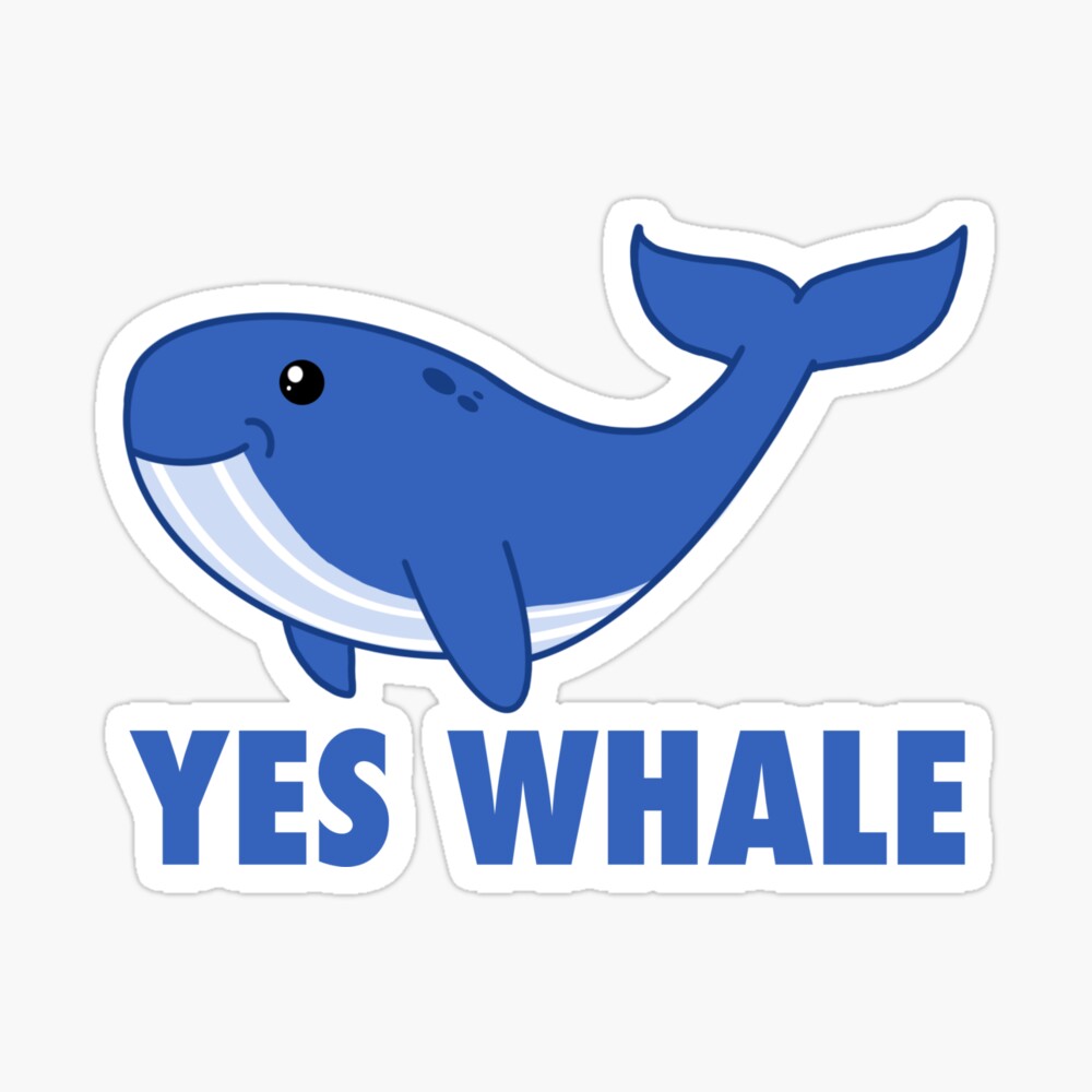 Taylor Swift “Yes Whale” Sticker for Sale by N1C0L3-CL4R3 | Redbubble