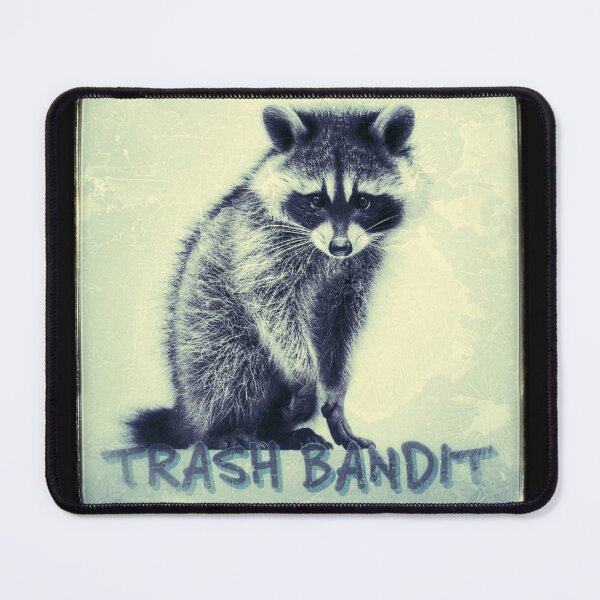 Item preview, Trash bandit, raccoon designed and sold by Lynnchabot.