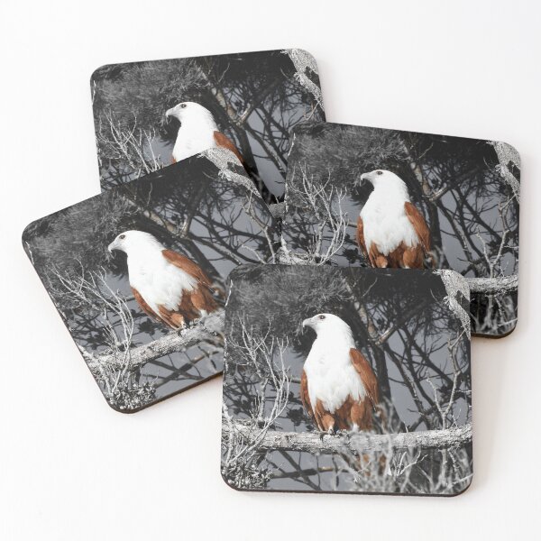Item preview, Bird of prey Beautiful Brahminy Kite designed and sold by Mark Grimsley.