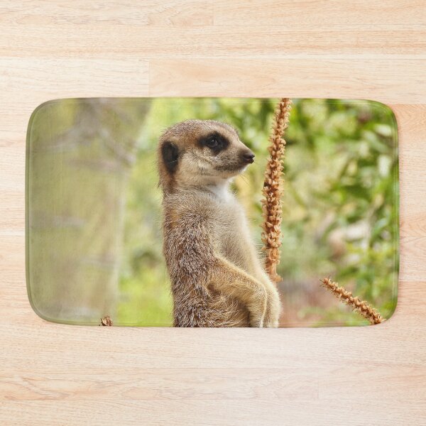 Item preview, Meerkat lookout  designed and sold by Mark Grimsley.