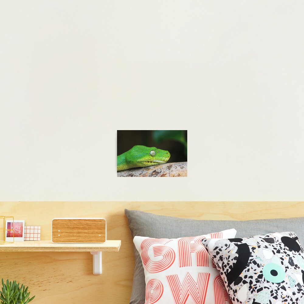 Item preview, Photographic Print designed and sold by chantellebenade.