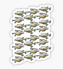 Fish, Fish, Fish Sticker