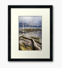 Wetlands Framed Print