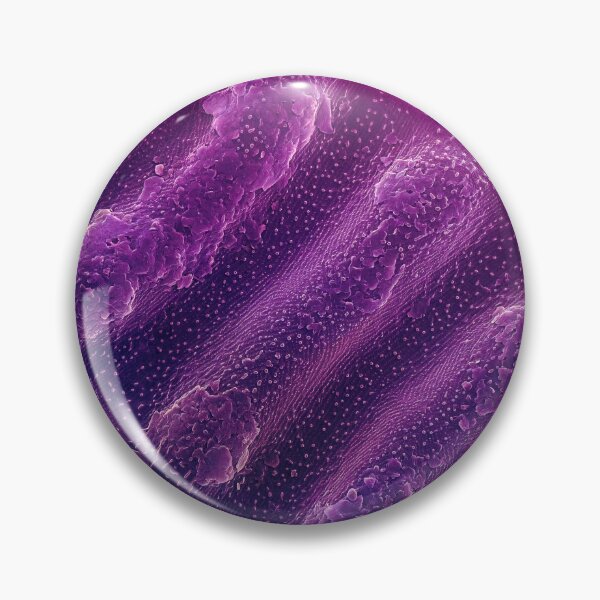Item preview, Undulate Surirella - Purple designed and sold by DiatomsATTACK.
