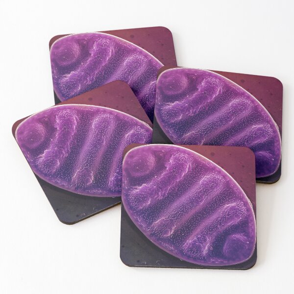 Item preview, Undulate Surirella - Purple designed and sold by DiatomsATTACK.