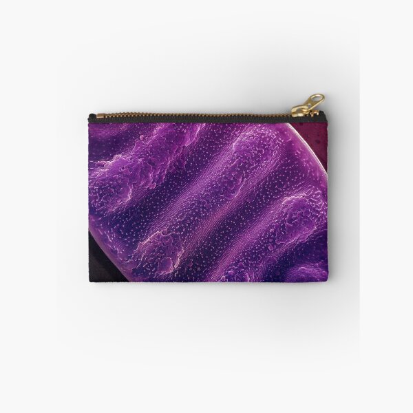 Item preview, Undulate Surirella - Purple designed and sold by DiatomsATTACK.