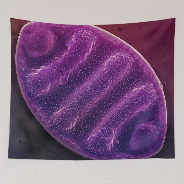 Item preview, Undulate Surirella - Purple designed and sold by DiatomsATTACK.