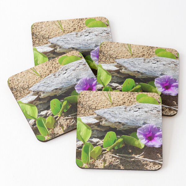Item preview, Beach colourful flower display  designed and sold by Mark Grimsley.