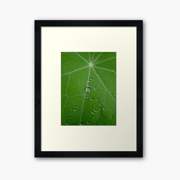 Water droplets on green leave Framed Art Print