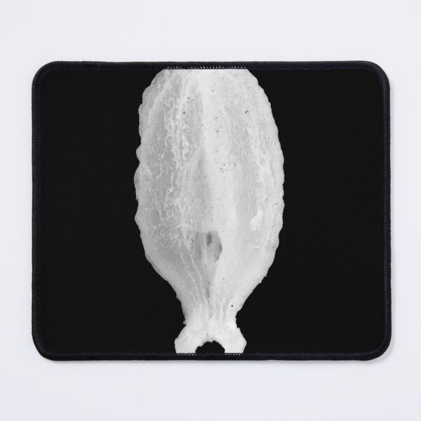 Item preview, Bleached anise (Pimpinella anisum) seed under the microscope designed and sold by SDym Photography.