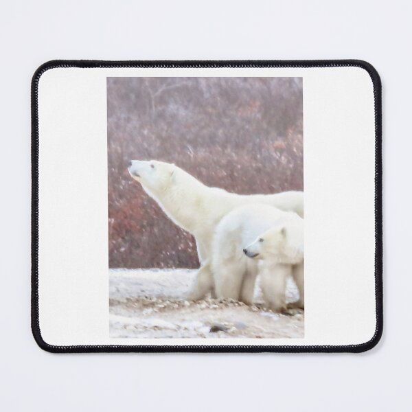 Item preview, Polar bear mom sniffs the air Graphic designed and sold by TheLibraryClost.