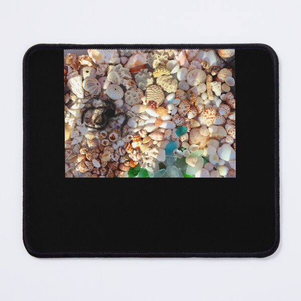 Item preview, Anguilla Shells designed and sold by tamiya-mortimer.