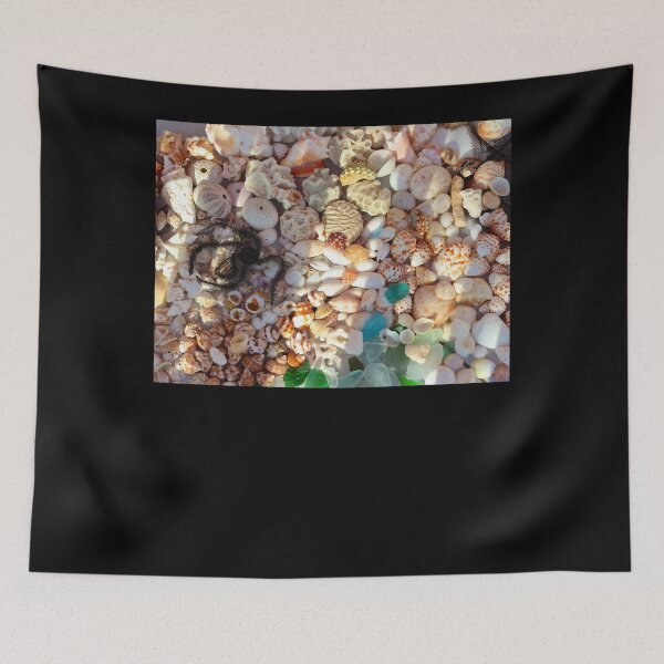 Item preview, Anguilla Shells designed and sold by tamiya-mortimer.