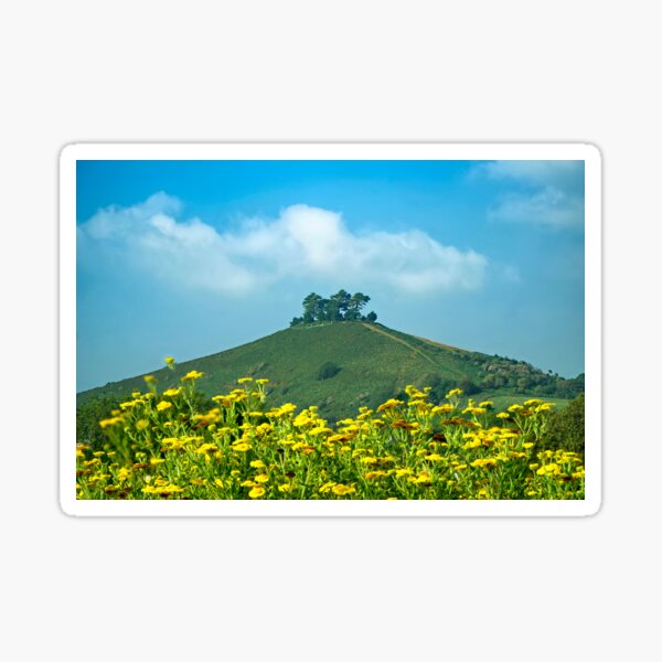 Colmers Hill Dorset Sticker For Sale By Alisonchambers2 Redbubble