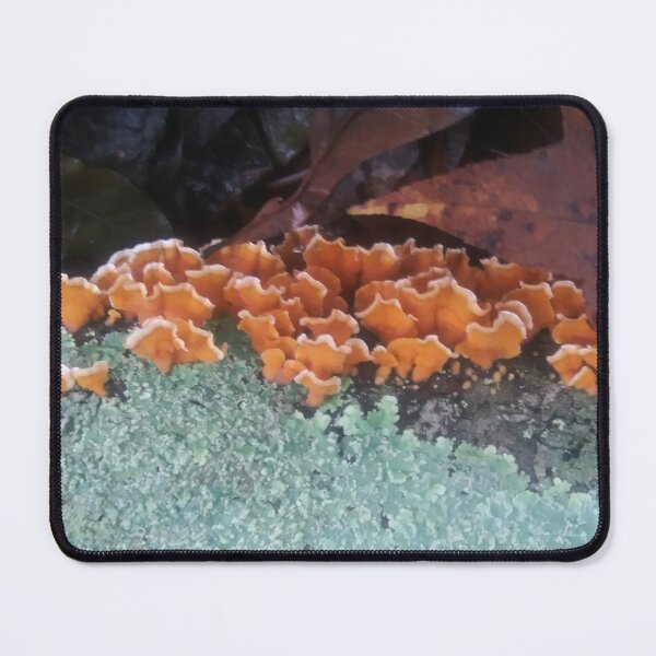 Item preview, The Beauties of Tree Fungus designed and sold by Rusty Gentry.