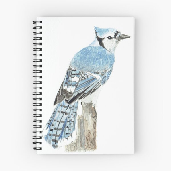 Item preview, Blue jay watercolour designed and sold by HopeSumner.