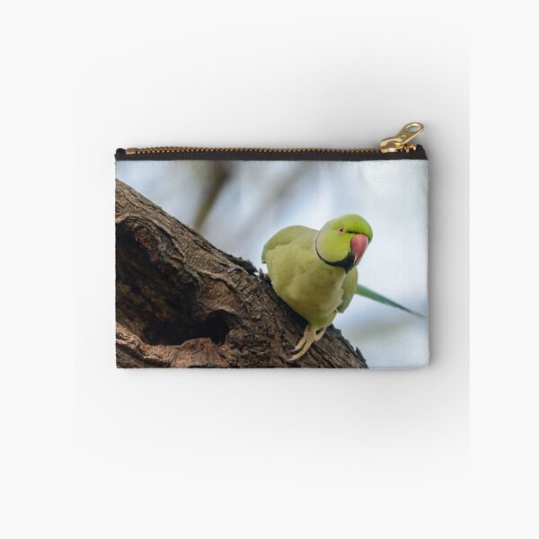 Item preview, Rose-ringed Parakeet 04 designed and sold by Werner Padarin.