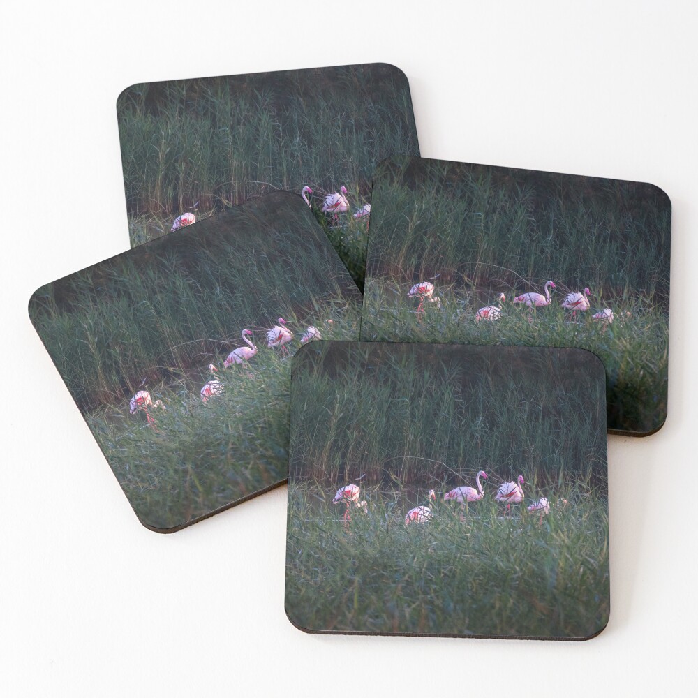 Item preview, Coasters (Set of 4) designed and sold by Ralph Goldsmith.