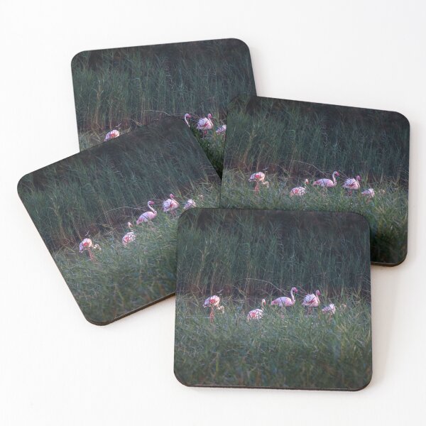 Item preview, Shy Flamingos designed and sold by Ralph Goldsmith.