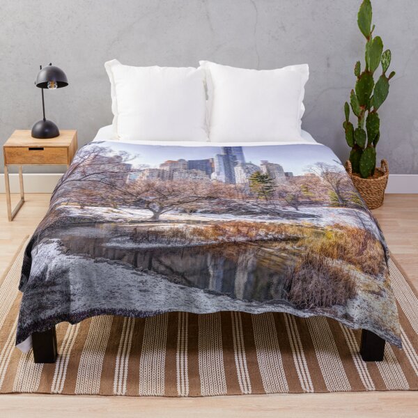 Item preview, Central Park in Winter designed and sold by assaf.