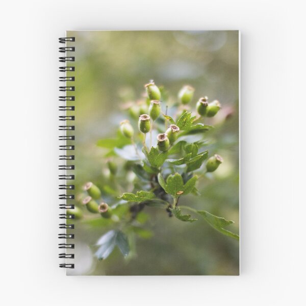 Item preview, Summer Scenes designed and sold by purplefacephoto.