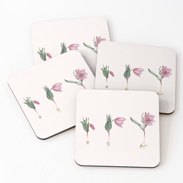 Item preview, Endemic Fritillaria Alburyana Plant, Pink Botanic Flower,  designed and sold by pinori.