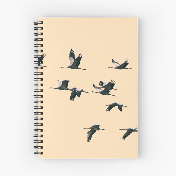 Item preview, Quince grullas comunes volando sobre fondo de melocotón designed and sold by visualspectrum.