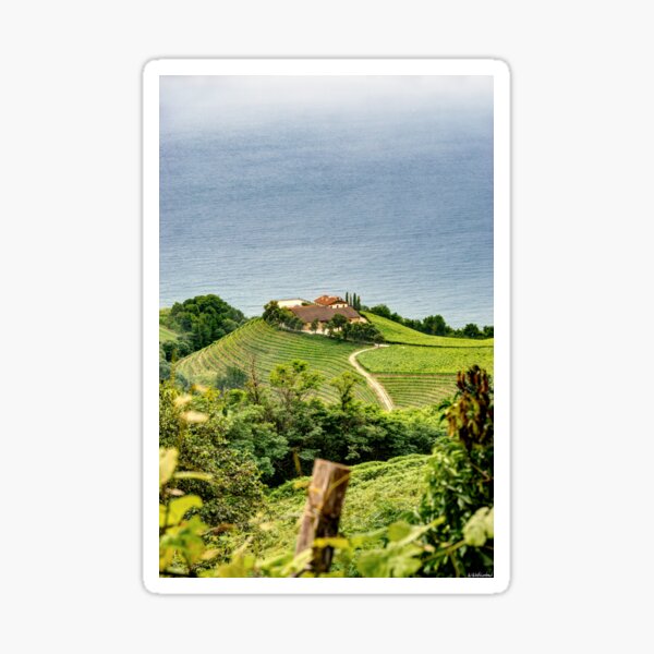Item preview, Vineyard by the sea 04 designed and sold by Weston  Westmoreland.