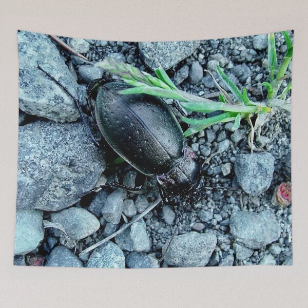 Item preview, Black Beetle designed and sold by AnnDixon.