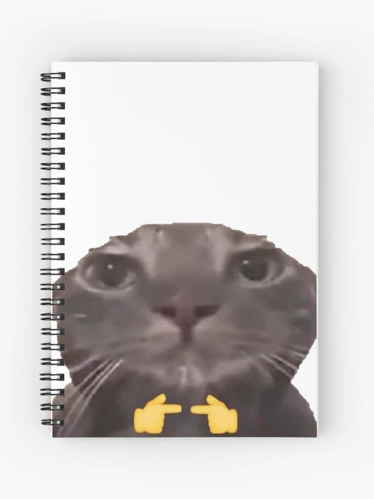 ✧確認用✧blue meme cat✧signature note book✧ 51fxxfxSpXL.jpg_BO30,255,255,