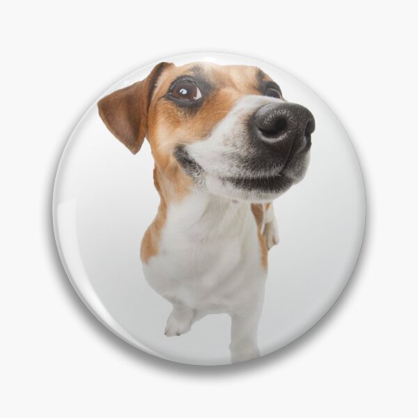 Item preview, cool dog designed and sold by goon-street.