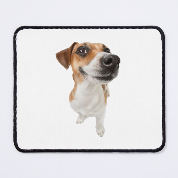 Item preview, cool dog designed and sold by goon-street.