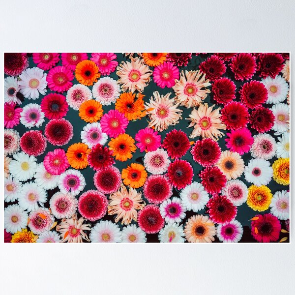 Item preview, Flowers in a Well designed and sold by AdamLVPhotos.