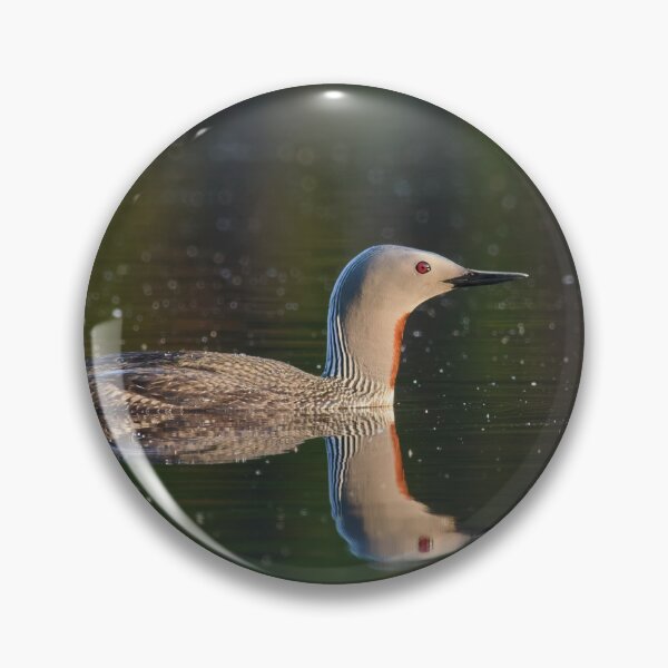 Item preview, The right side. Red-throated loon Magnus von Wright style designed and sold by Jouko Lehto Photography.