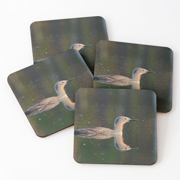 Item preview, The right side. Red-throated loon Magnus von Wright style designed and sold by Jouko Lehto Photography.