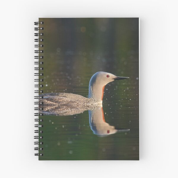 Item preview, The right side. Red-throated loon Magnus von Wright style designed and sold by Jouko Lehto Photography.