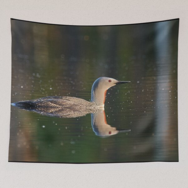 Item preview, The right side. Red-throated loon Magnus von Wright style designed and sold by Jouko Lehto Photography.