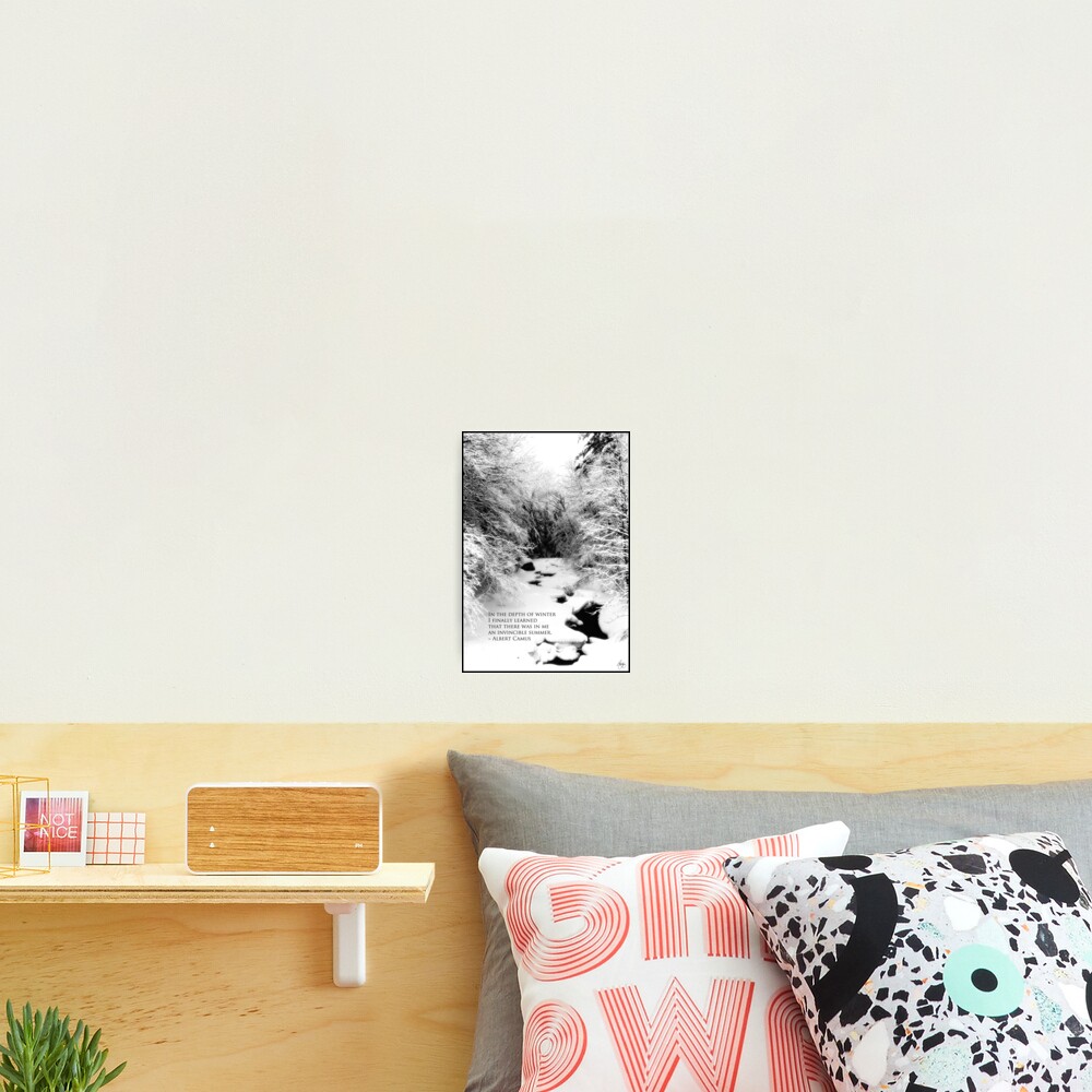 Stinson Brook - Camus Quote Print and Poster Photographic Print
