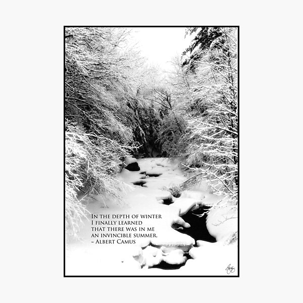 Stinson Brook - Camus Quote Print and Poster Photographic Print