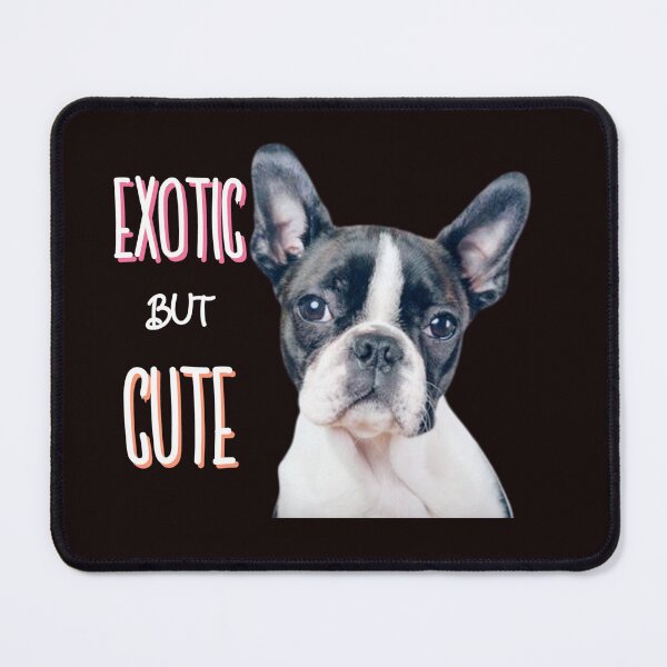 Item preview, EXOTI CUTE DOG designed and sold by painting23.