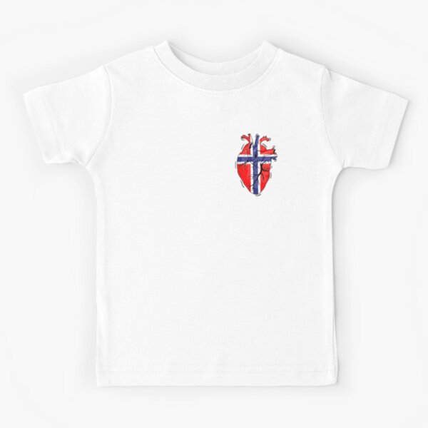 Roblox T-shirt Roblox Birthday Party Tee Roblox Custom -  Norway