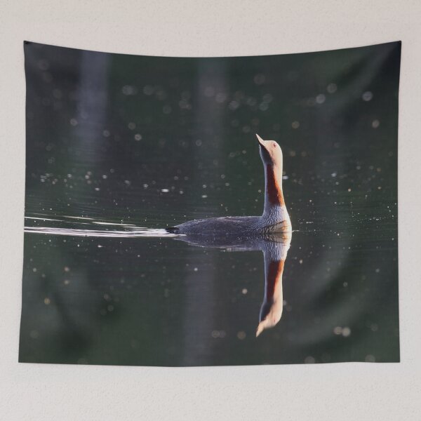 Item preview, Is there something up there. Red-throated loon 2 designed and sold by Jouko Lehto Photography.