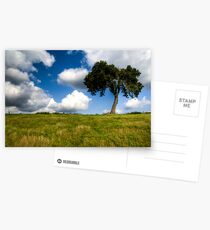 Lonely Tree Postcards