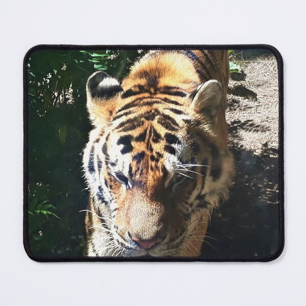 Item preview, Tiger Closeup designed and sold by craftsbydaphy.