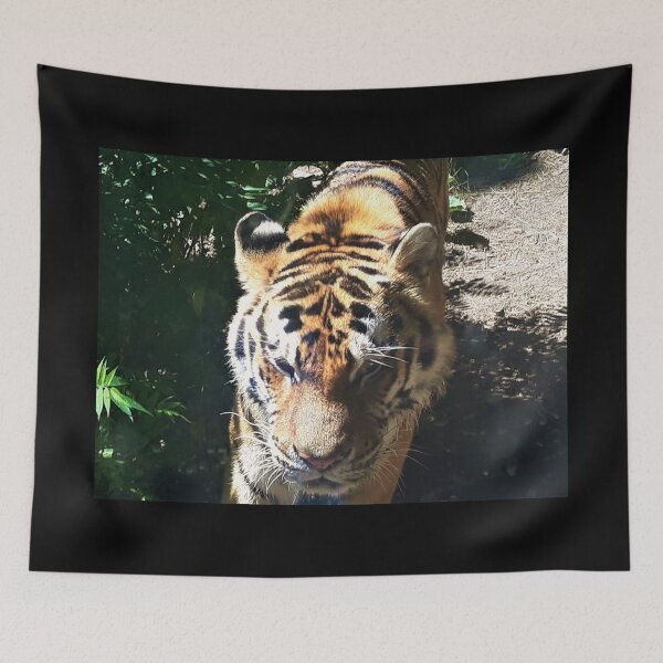 Item preview, Tiger Closeup designed and sold by craftsbydaphy.