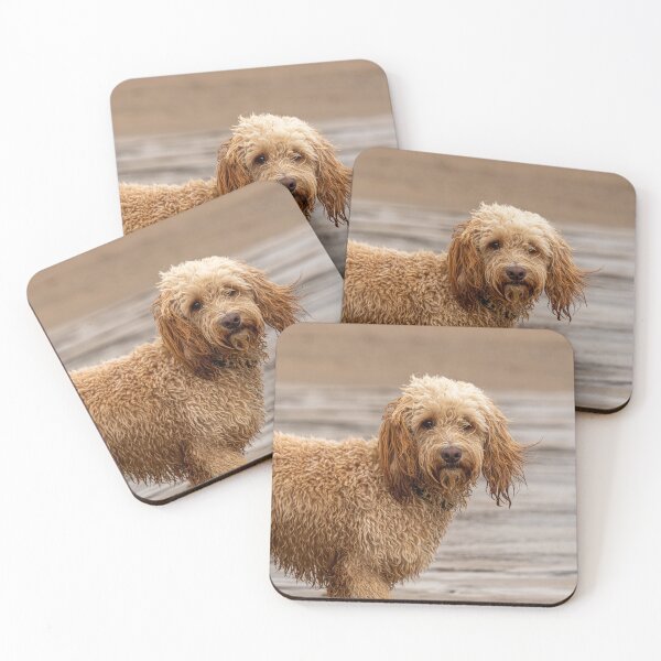 Item preview, Cockapoo dog with wet fur on beach. designed and sold by bailey-cooper.