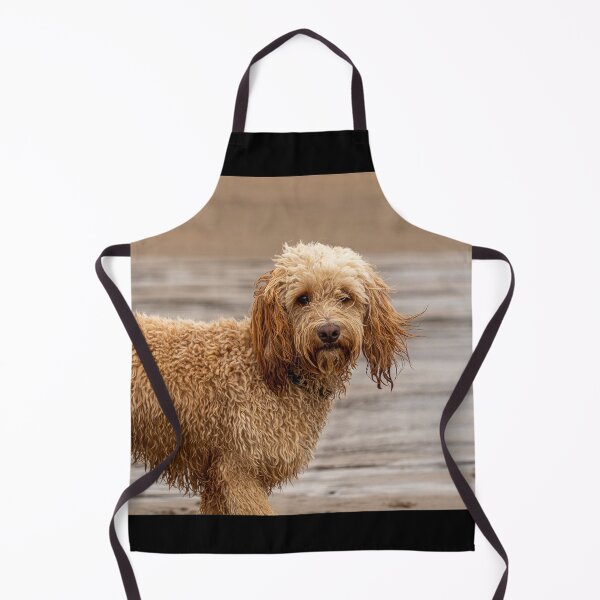 Item preview, Cockapoo dog with wet fur on beach. designed and sold by bailey-cooper.