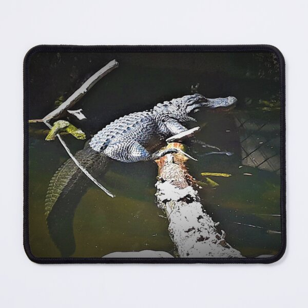 Item preview, Gator Vibe designed and sold by craftsbydaphy.