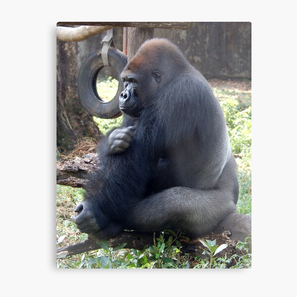 Reprieved Metal Print