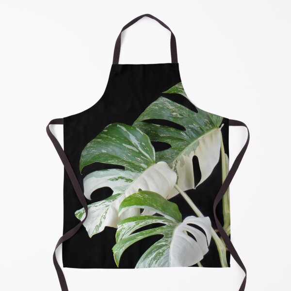 Item preview, Monstera Deliciosa Albo Variegata (Variegated Monstera) designed and sold by plantsbutbetter.